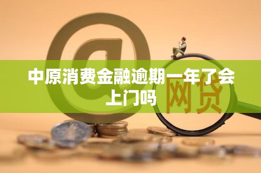 中原消費(fèi)金融逾期一年 上門催收的可能性與應(yīng)對策略